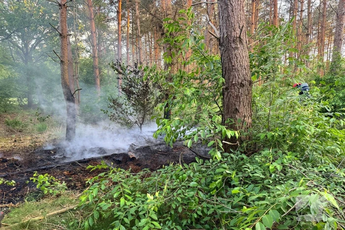 Oplettende voorbijgangers ontdekken bosbrand