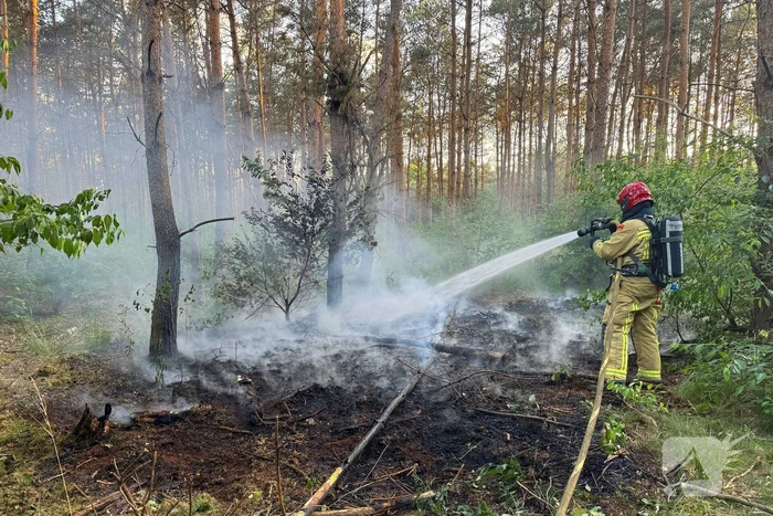 Oplettende voorbijgangers ontdekken bosbrand
