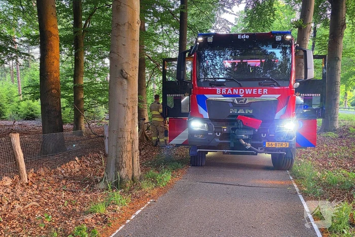 Ruiters ontdekken beginnende bosbrand