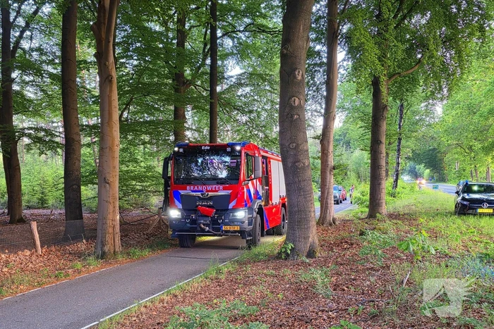Ruiters ontdekken beginnende bosbrand