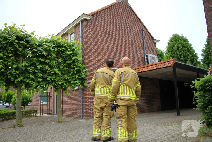 Zwaluw gered door brandweer