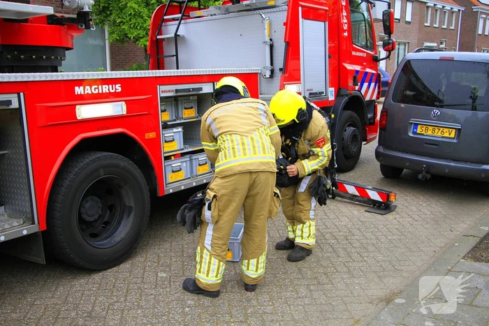 Zwaluw gered door brandweer