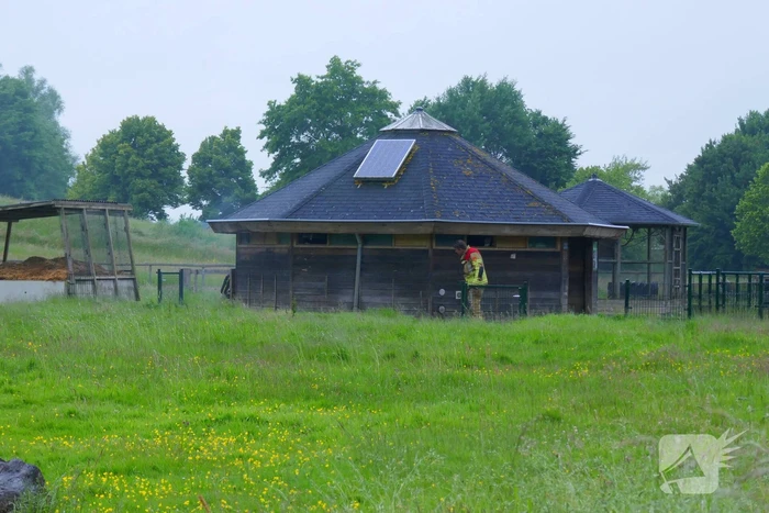 Brand bij dierenverblijf snel gedoofd