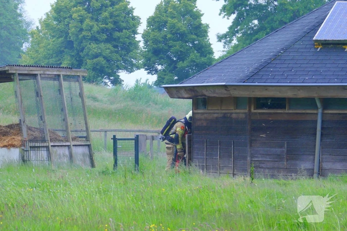 Brand bij dierenverblijf snel gedoofd