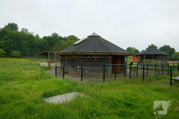 Brand bij dierenverblijf snel gedoofd