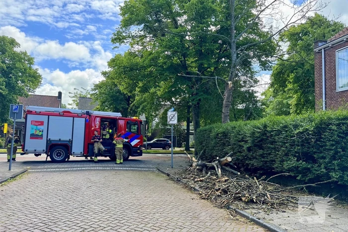 natuur de gijselaarstraat leiden