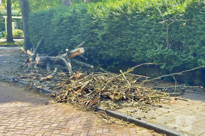 Brandweer zaagt tak om gevaar te verminderen