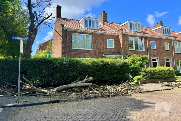 Brandweer zaagt tak om gevaar te verminderen