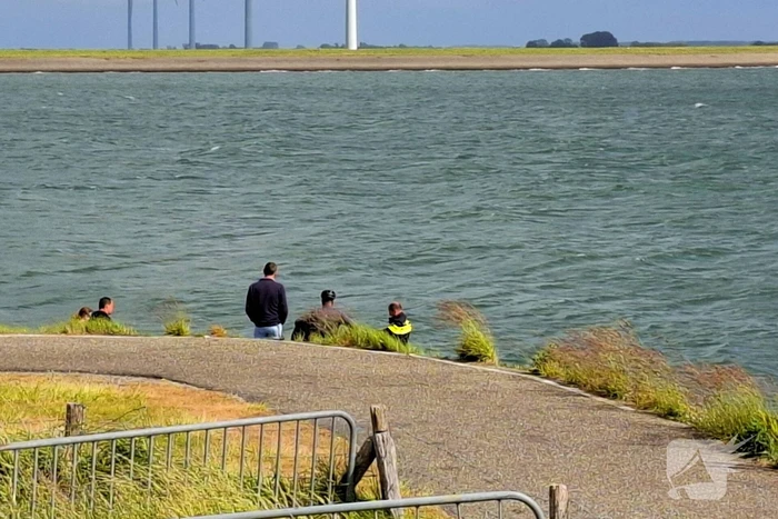 Duiker omgekomen na incident