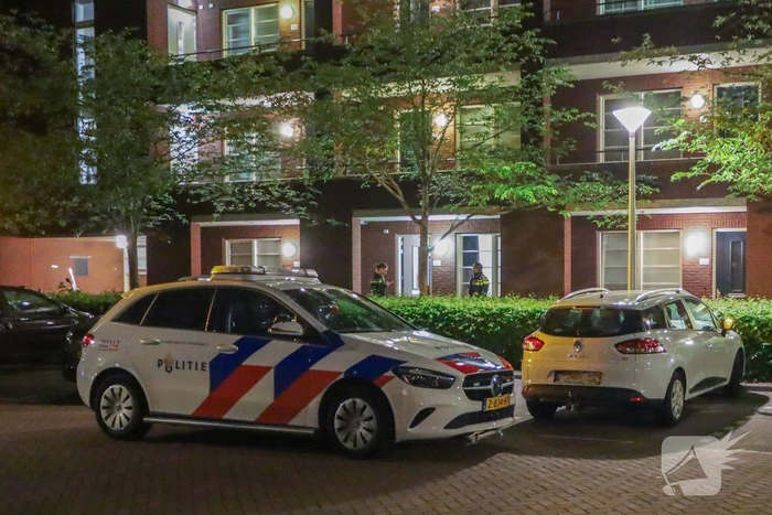 Steekincident leidt tot lichtgewonde