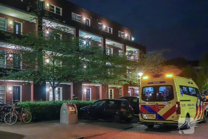 Steekincident leidt tot lichtgewonde
