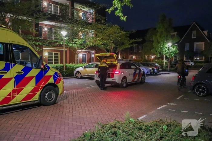 Steekincident leidt tot lichtgewonde