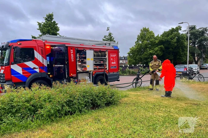 Brandweer redt vastzittende eendjes