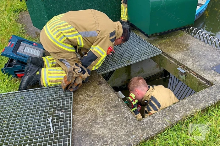 Brandweer redt vastzittende eendjes