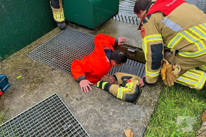 Brandweer redt vastzittende eendjes