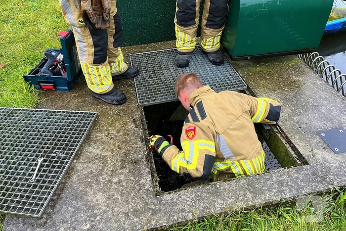 Brandweer redt vastzittende eendjes