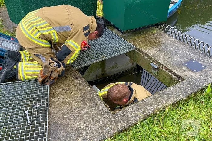 Brandweer redt vastzittende eendjes