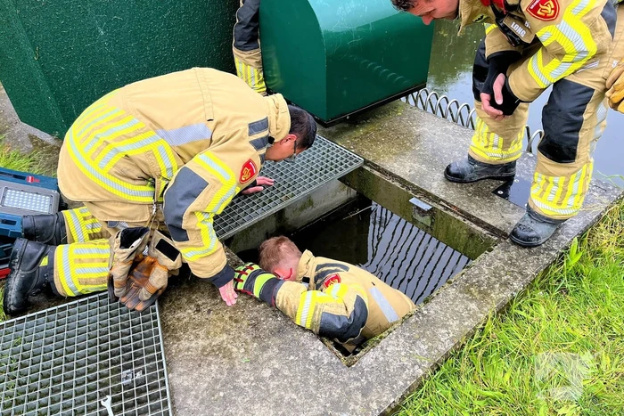 Brandweer redt vastzittende eendjes