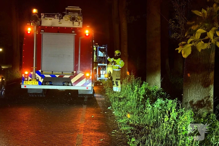 natuur gouverneursweg heeswijk-dinther