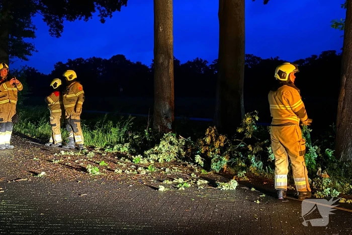 Dikke tak veroorzaakt verkeershinder