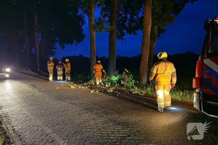 Dikke tak veroorzaakt verkeershinder