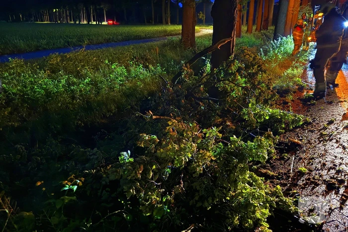 Dikke tak veroorzaakt verkeershinder