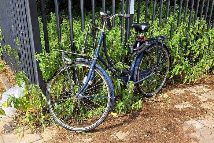 Fietser en bestelbus betrokken bij ongeval