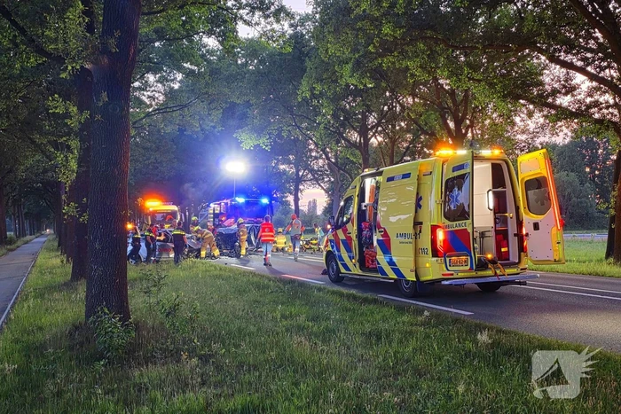 Dode bij ernstige frontale aanrijding