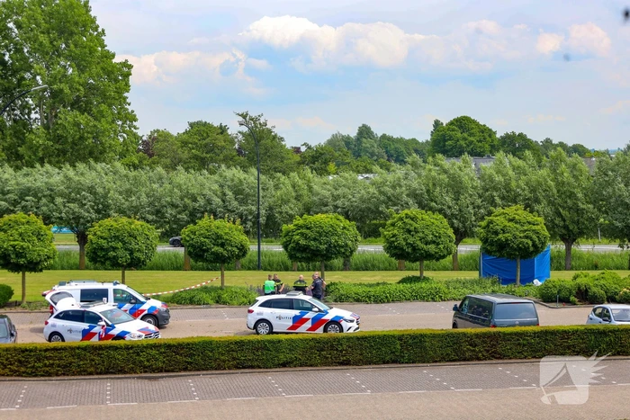 Dodelijk steekincident onderzocht