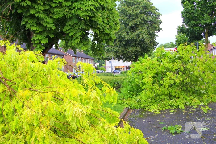Noodweer zorgt voor meerdere stormschades