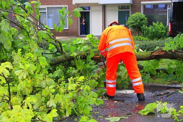 Noodweer zorgt voor meerdere stormschades