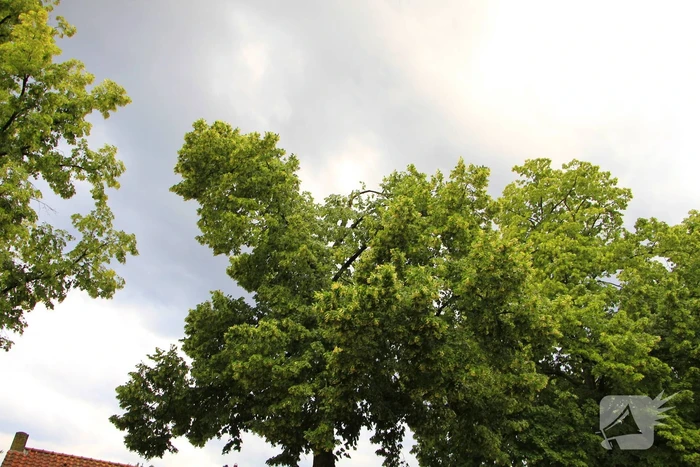 Noodweer zorgt voor meerdere stormschades