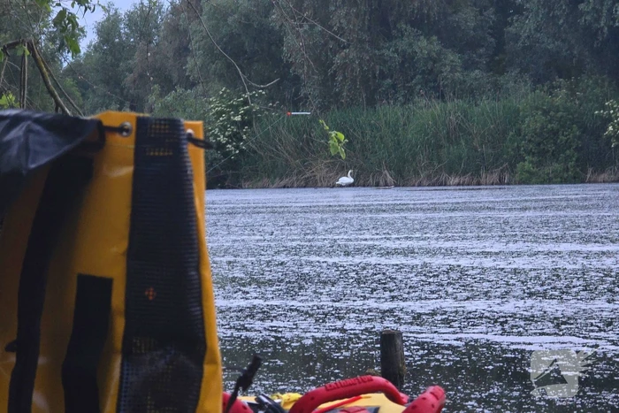 Brandweer ingezet voor mogelijke dier in problemen