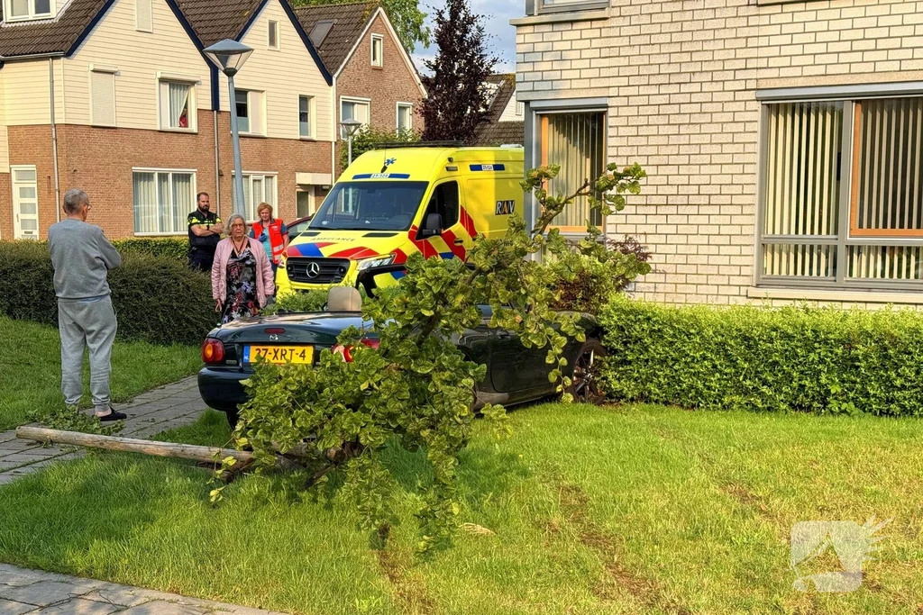 Wilhelminastraat Nieuws Uden 
