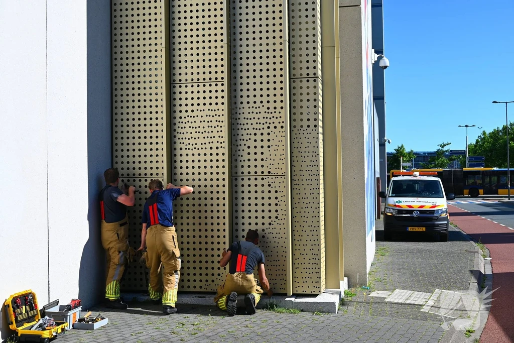 Lange Marktstraat Nieuws Leeuwarden 
