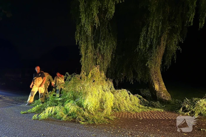 Grote boomtak blokkeert weg