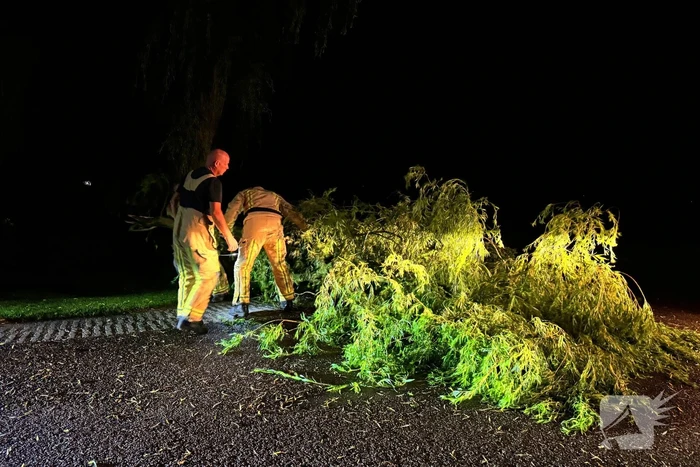Grote boomtak blokkeert weg