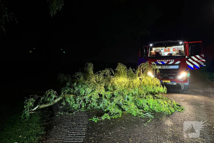 Grote boomtak blokkeert weg