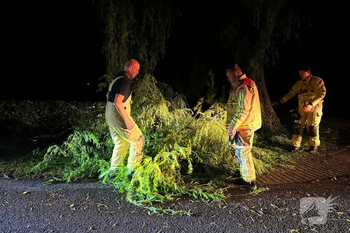 Grote boomtak blokkeert weg