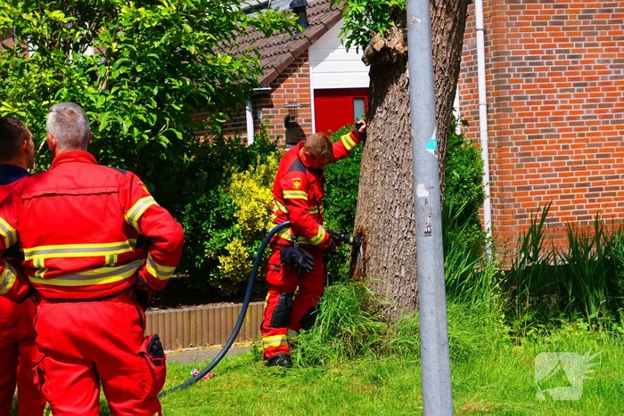 brand melisseweg groningen