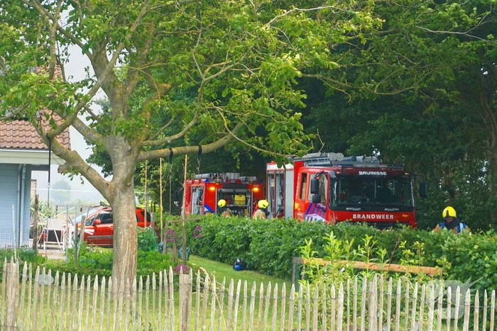 Paarden gered bij uitslaande brand