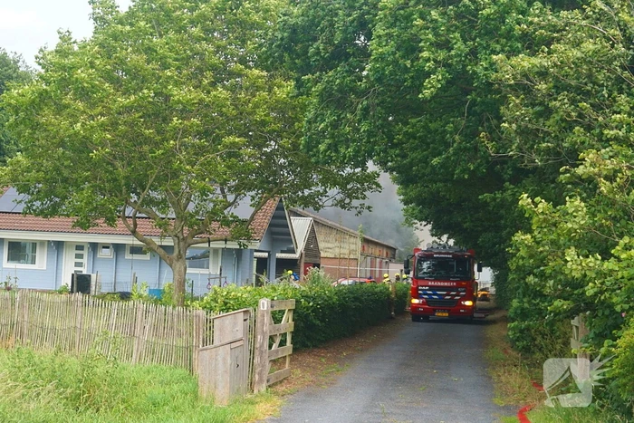 Paarden gered bij uitslaande brand