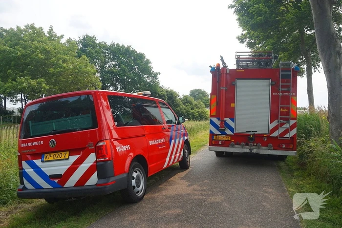Paarden gered bij uitslaande brand