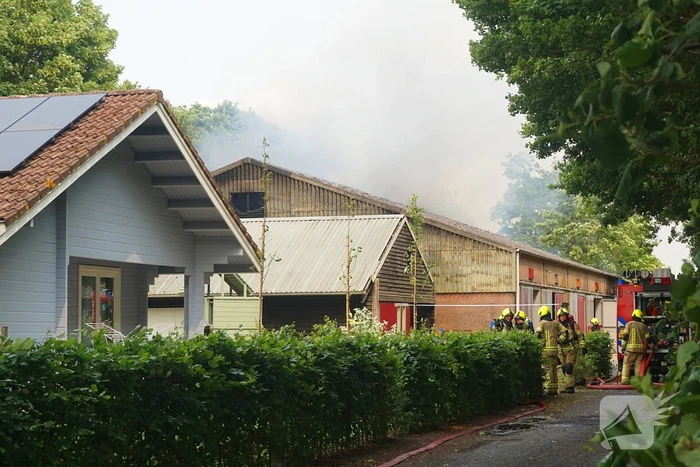 Paarden gered bij uitslaande brand