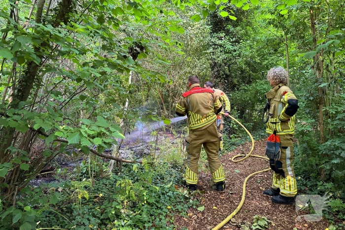 Brand in bosschages om onbekende oorzaak