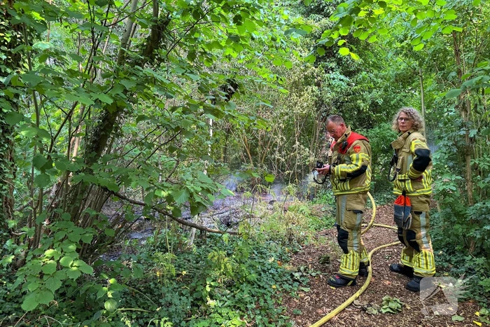 Brand in bosschages om onbekende oorzaak