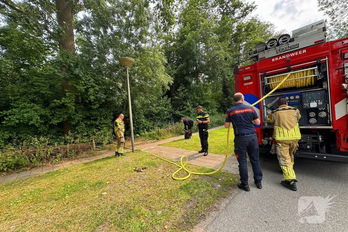 Brand in bosschages om onbekende oorzaak