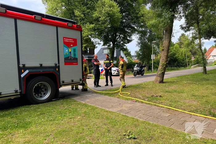 Brand in bosschages om onbekende oorzaak