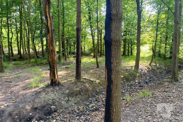 Brandweer blust moeilijk vindbaar vuur