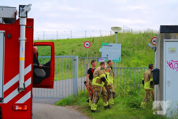 Brandweer ingezet voor schaap